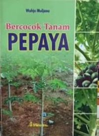 Image of Bercocok Tanam Pepaya