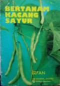 Bertanam Kacang Sayur