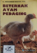 Beternak Ayam Pedaging