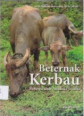 Beternak Kerbau: Potensi dan Analisi Usaha