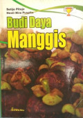 Budi Daya Manggis