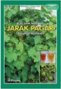 Budi Daya Tanaman Jarak Pagar (Penghasil Biodiedel)