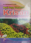 Budi Daya Tanaman Krisan