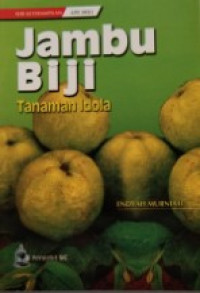 Image of Jambu Biji Tanaman Idola
