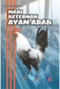Mari Beternak Ayam Arab