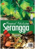 Mengenal Kehidupan Serangga