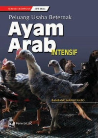 Image of Peluang Usaha Beternak Ayam Arab Intensif