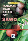 Tanaman Buah dalam Pot: Sawo