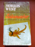 Salamander